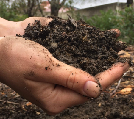 Cultivo Orgánico